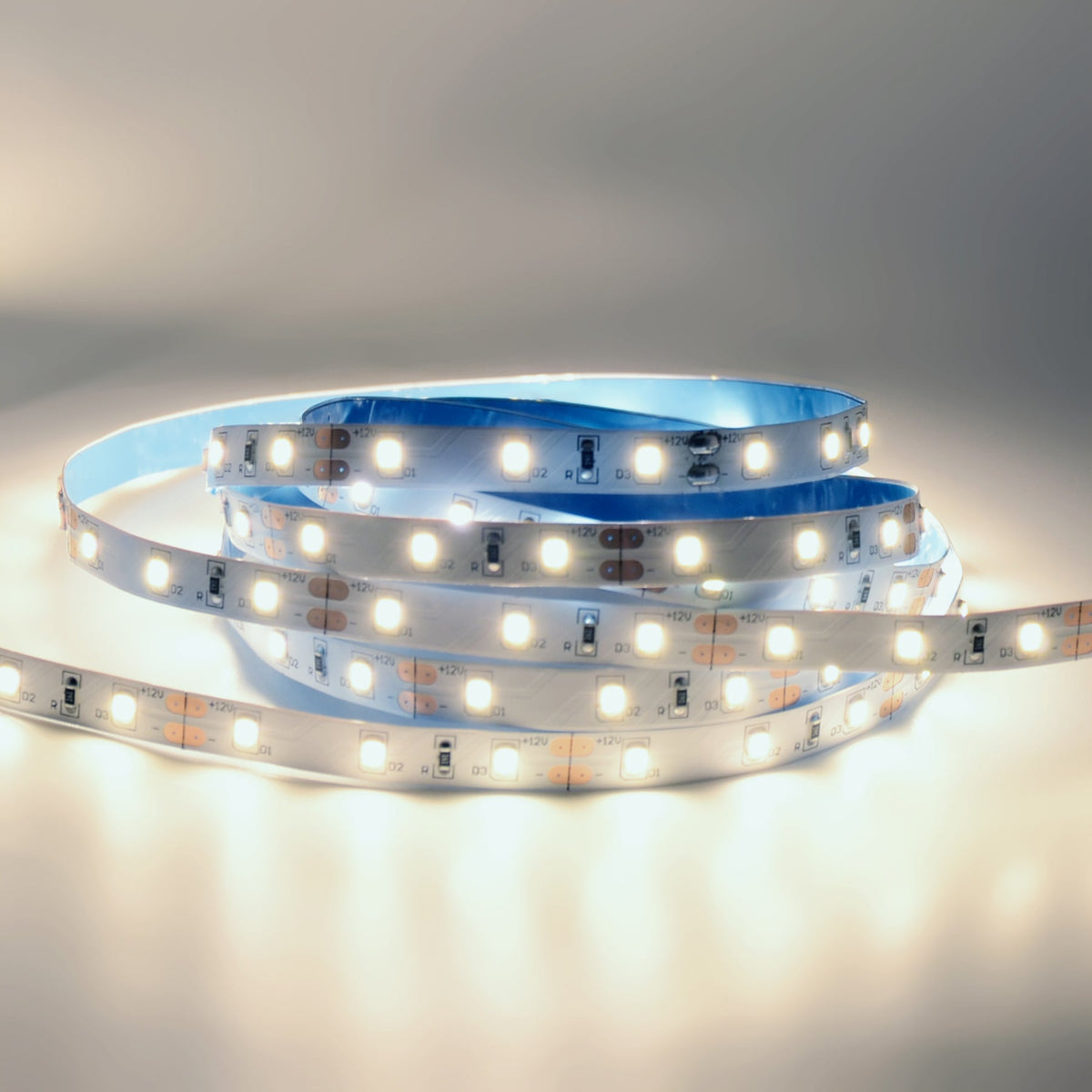 G.W.S. LED LED Strip Lights LED 2835 Strip Light, 5M Reel, IP20, 12V, 60 LEDs/M