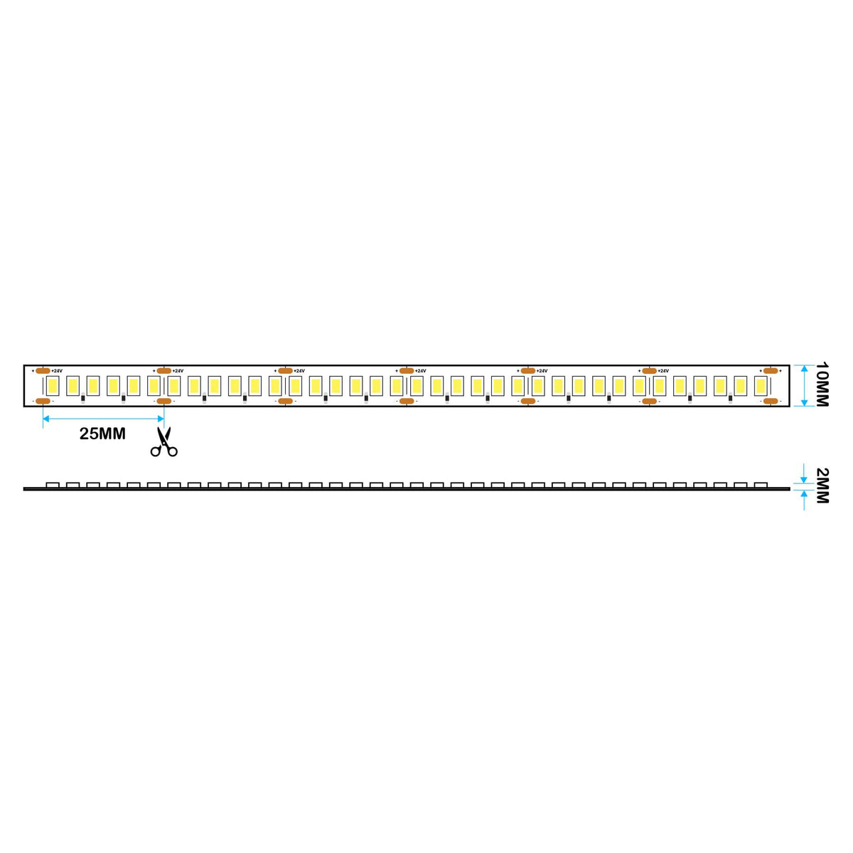 G.W.S. LED LED Strip Lights LED 2835 Strip Light, 5M Reel, IP20, 24V, 240 LEDs/M