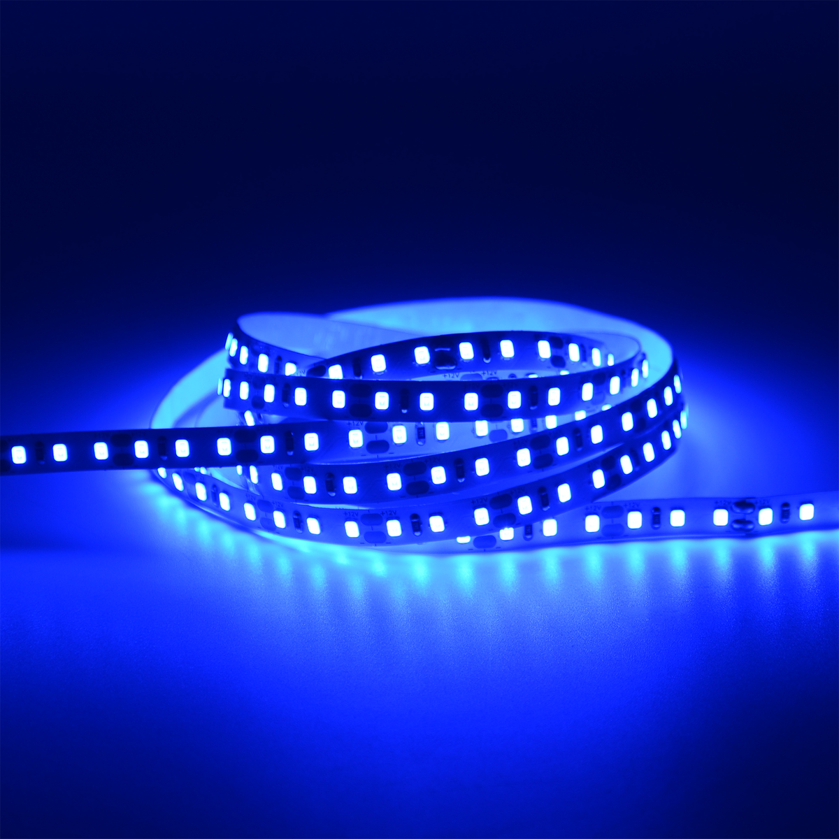 G.W.S. LED LED Strip Lights Strip Only / 5M / Blue LED 2835 Strip Light, 5M Reel, IP20, 12V, 120 LEDs/M