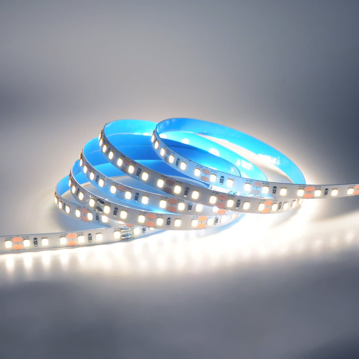 G.W.S. LED LED Strip Lights LED 2835 Strip Light, 5M Reel, IP20, 12V, 120 LEDs/M