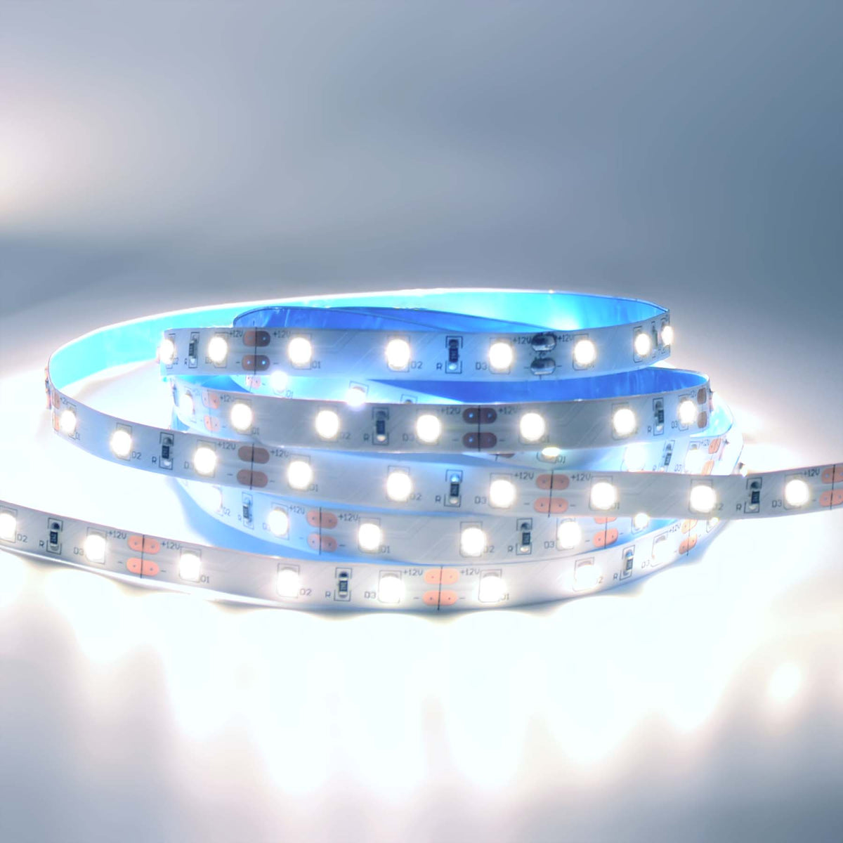 G.W.S. LED LED Strip Lights Strip Only / 5M / Day White (6000K) LED 2835 Strip Light, 5M Reel, IP20, 12V, 60 LEDs/M