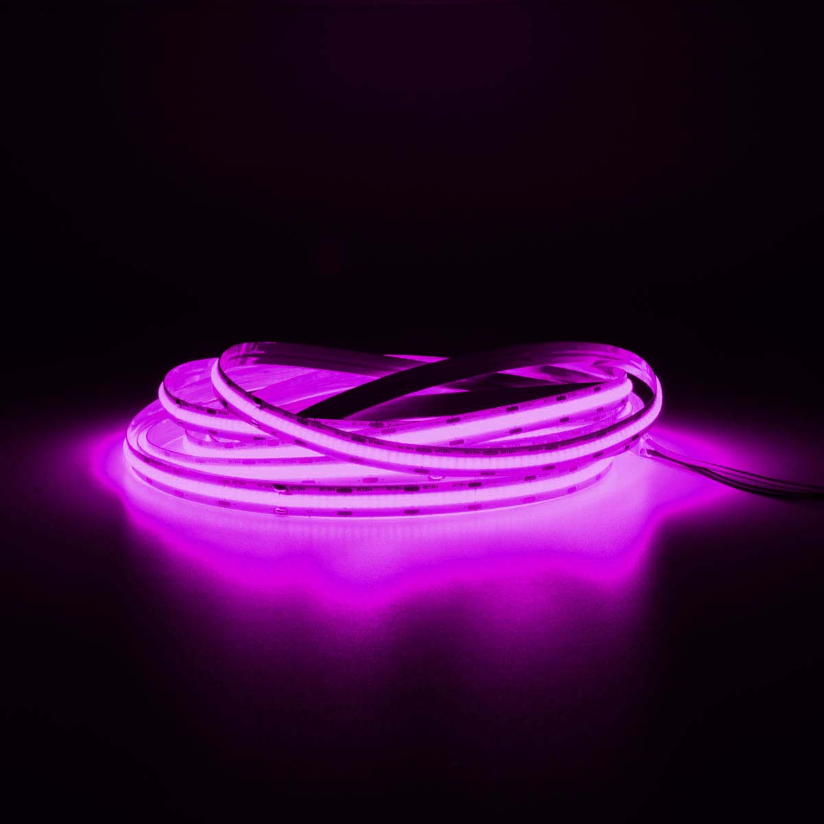 G.W.S LED Wholesale LED Strip Lights IP20 (Non-Waterproof) / Magenta / Strip Only 24V IP20 5 Meters COB LED Strip Light 384 LEDs/M