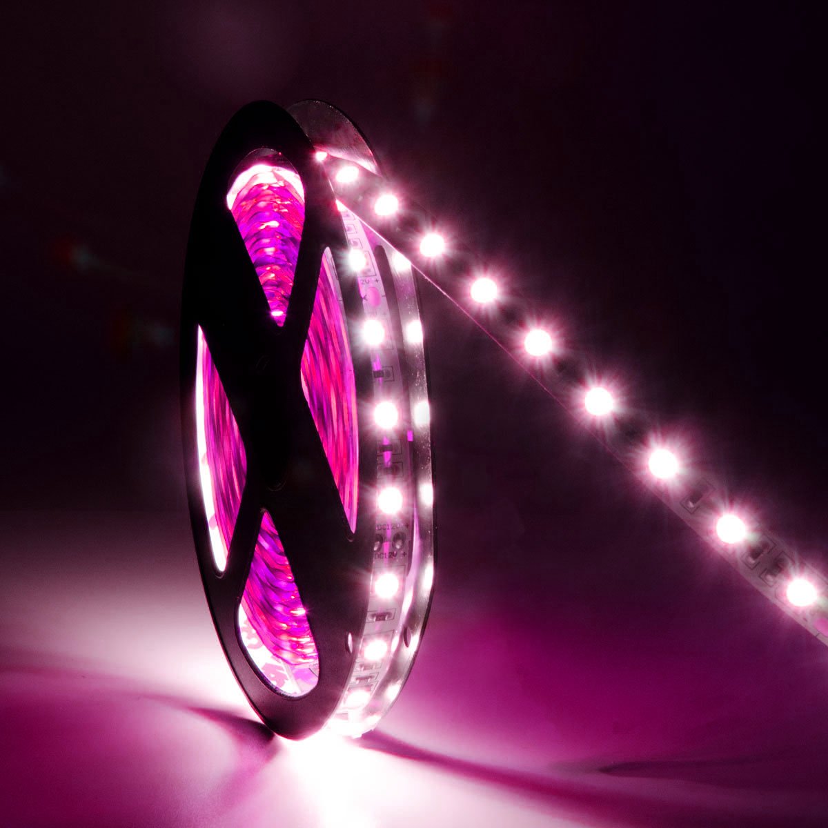 G.W.S LED Wholesale LED Strip Lights IP44 (Splashproof) / Pink / Strip Only IP44 5050 5 Meters 60 LEDs/M LED Strip Light