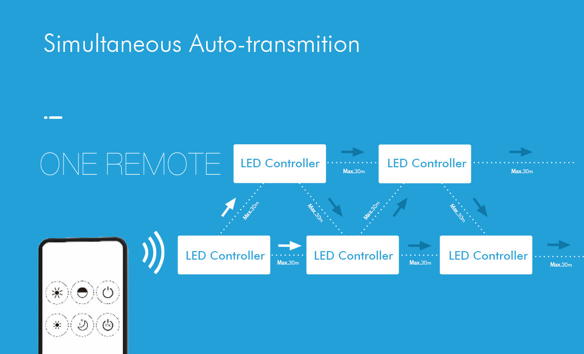 G.W.S. LED 1 Zone Dimming RF Remote Control RM1