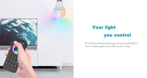 G.W.S. LED 4 Zone RGB/RGBW Remote Control 2.4GHz RF RT9