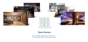 G.W.S. LED 4 Zones Dimming Remote Control (100-240V AC Input) T11-1