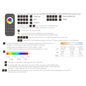 G.W.S. LED 4 Zones RGB+CCT RF Remote Control RT10