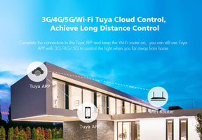 G.W.S. LED 5CH*6A 12-48VDC WiFi & RF 5 in 1 CV Controller V5-L(WT) (Tuya App)