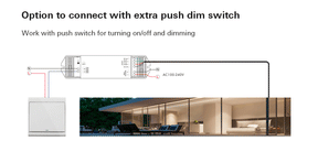 G.W.S. LED LED 100-240V AC Dimming/CCT/RGB Wifi Controller Tuya APP 2.4GHz RF S3(WT)
