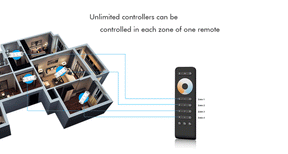 G.W.S. LED LED 12-24V DC CCT Controller V2 + 1 Zone Remote Control RT2