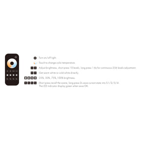 G.W.S. LED LED 12-24V DC CCT Controller V2 + 1 Zone Remote Control RT2