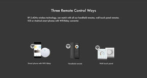 G.W.S. LED LED 12-24V DC CCT Controller V2 + 1 Zone Remote Control RT2