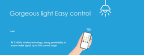 G.W.S. LED LED 12-24V DC Dimming Controller V1-M(D) + 1 Zone Remote Control RM1