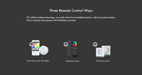 G.W.S. LED LED 12-24V DC RGB/RGBW Controller V3 + 4 Zone Panel Remote Control 2*AAA Battery T24