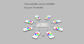 G.W.S. LED LED 12-24V DC RGB/RGBW Controller VP + 1 Zone Panel Remote Control 1*CR2032 Battery TW4