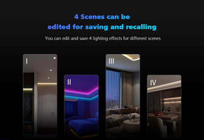 G.W.S. LED LED 12-24V DC RGB/RGBW Controller VP + 1 Zone Panel Remote Control 1*CR2032 Battery TW4