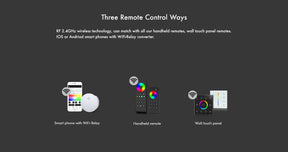 G.W.S. LED LED 12-24V DC RGB/RGBW Controller VP + 1 Zone Panel Remote Control 1*CR2032 Battery TW4