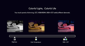 G.W.S. LED LED 5-36V DC Dimming Controller V1 + 4 Zone Panel Remote Control 2*AAA Battery T21