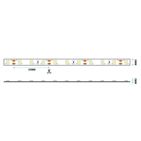 G.W.S. LED LED Strip Lights LED 2835 Strip Light, 5M Reel, IP20, 12V, 60 LEDs/M