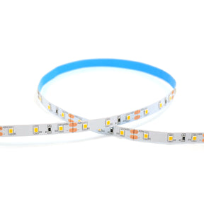 G.W.S. LED LED Strip Lights LED 2835 Strip Light, 5M Reel, IP20, 12V, 60 LEDs/M
