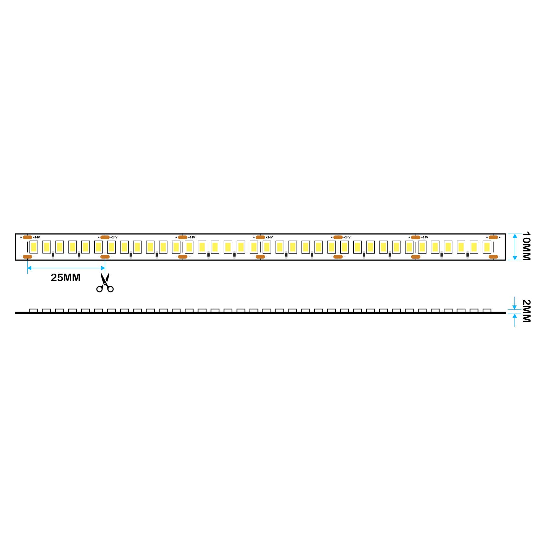 G.W.S. LED LED Strip Lights LED 2835 Strip Light, 5M Reel, IP20, 24V, 240 LEDs/M