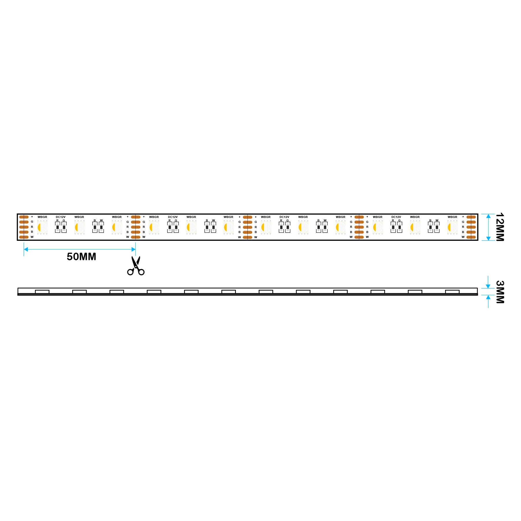 G.W.S. LED LED Strip Lights LED 5050 Strip Light, 5M Reel, IP44, 12V, 60 LEDs/M, RGB+Warm White