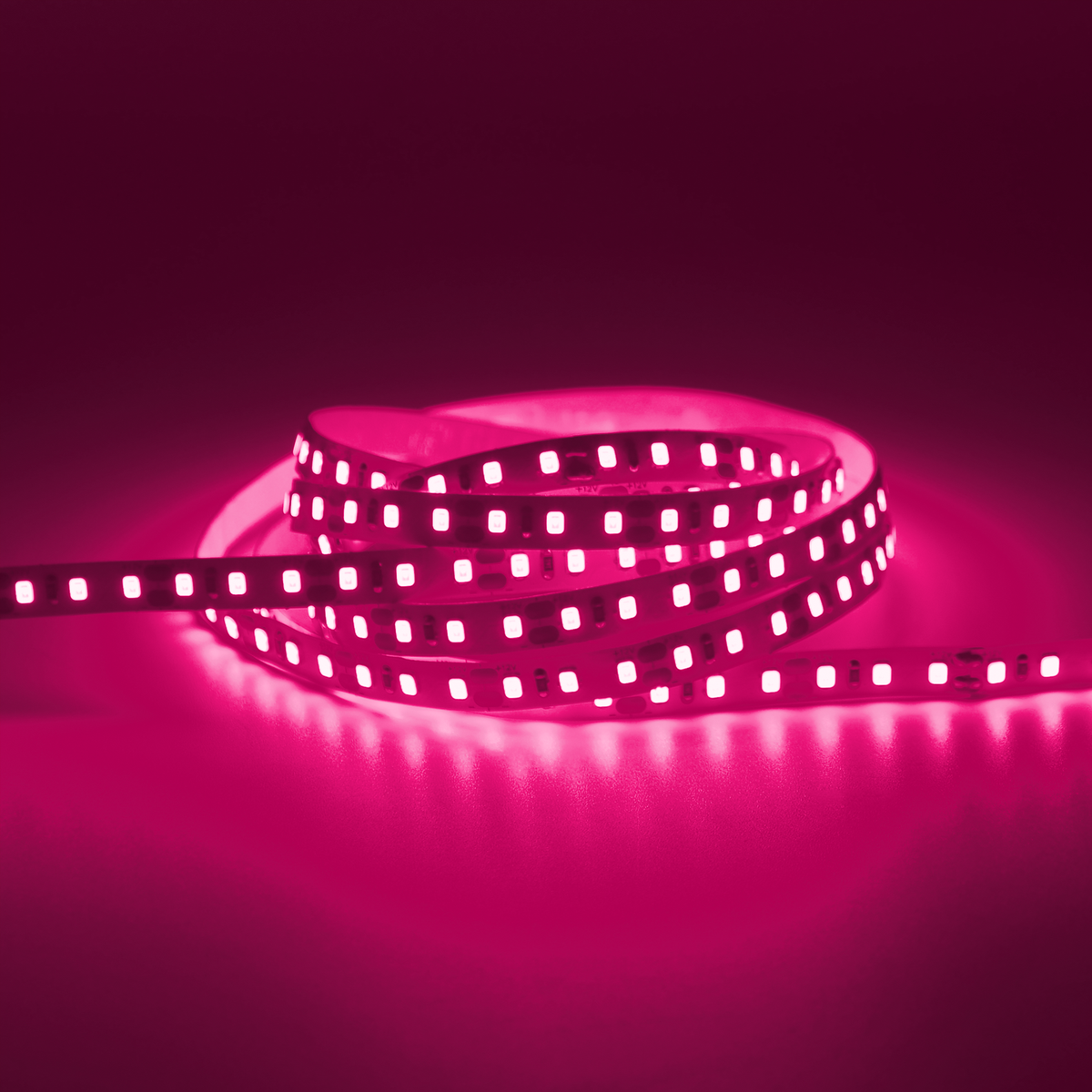 G.W.S. LED LED Strip Lights Strip Only / 5M / Magenta LED 2835 Strip Light, 5M Reel, IP20, 12V, 120 LEDs/M