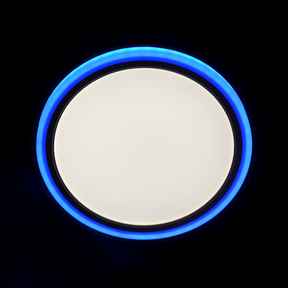 G.W.S LED Wholesale LED Ceiling Lights 24W 24W LED Ceiling Light RGB+CCT With Remote Control