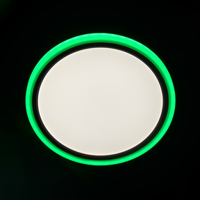 G.W.S LED Wholesale LED Ceiling Lights 24W 24W LED Ceiling Light RGB+CCT With Remote Control