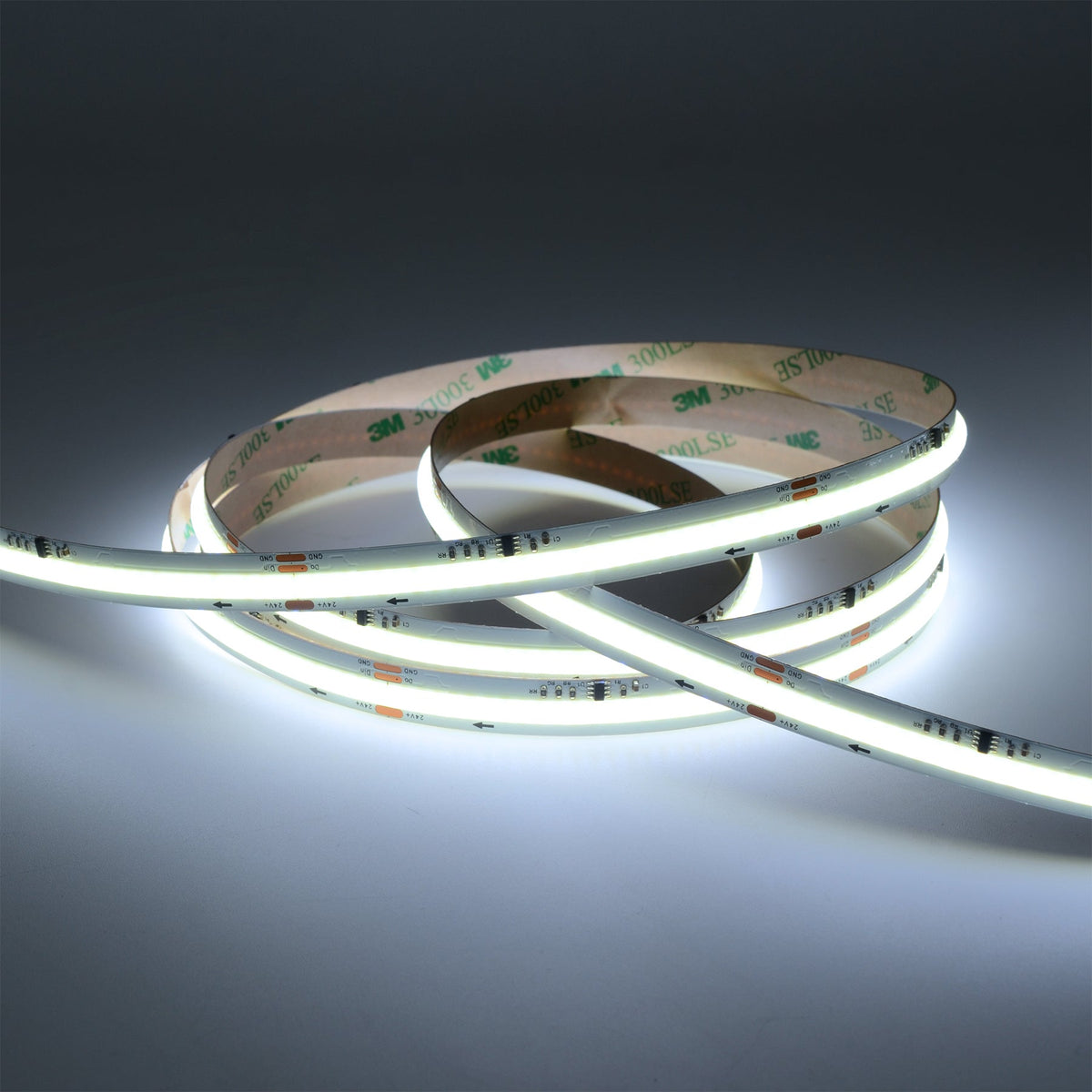 G.W.S LED Wholesale LED Strip Lights 5M / Cool White (6000K) LED COB Strip Light, Seamless, 5M Reel, IP20, 24V, 10mm Wide, Running Water