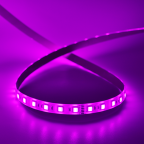 G.W.S LED Wholesale LED Strip Lights 5M / RGB+CCT LED 5050 Strip Light IP44 24V 5M 60 LEDs/M RGB+CCT