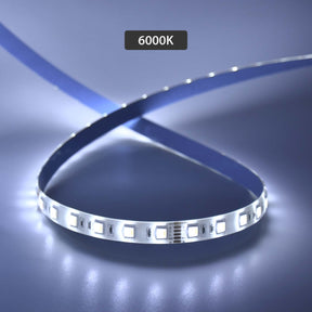 G.W.S LED Wholesale LED Strip Lights 5M / RGB+CCT LED 5050 Strip Light IP44 24V 5M 60 LEDs/M RGB+CCT
