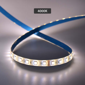 G.W.S LED Wholesale LED Strip Lights 5M / RGB+CCT LED 5050 Strip Light IP44 24V 5M 60 LEDs/M RGB+CCT