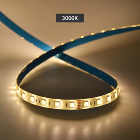 G.W.S LED Wholesale LED Strip Lights 5M / RGB+CCT LED 5050 Strip Light IP44 24V 5M 60 LEDs/M RGB+CCT