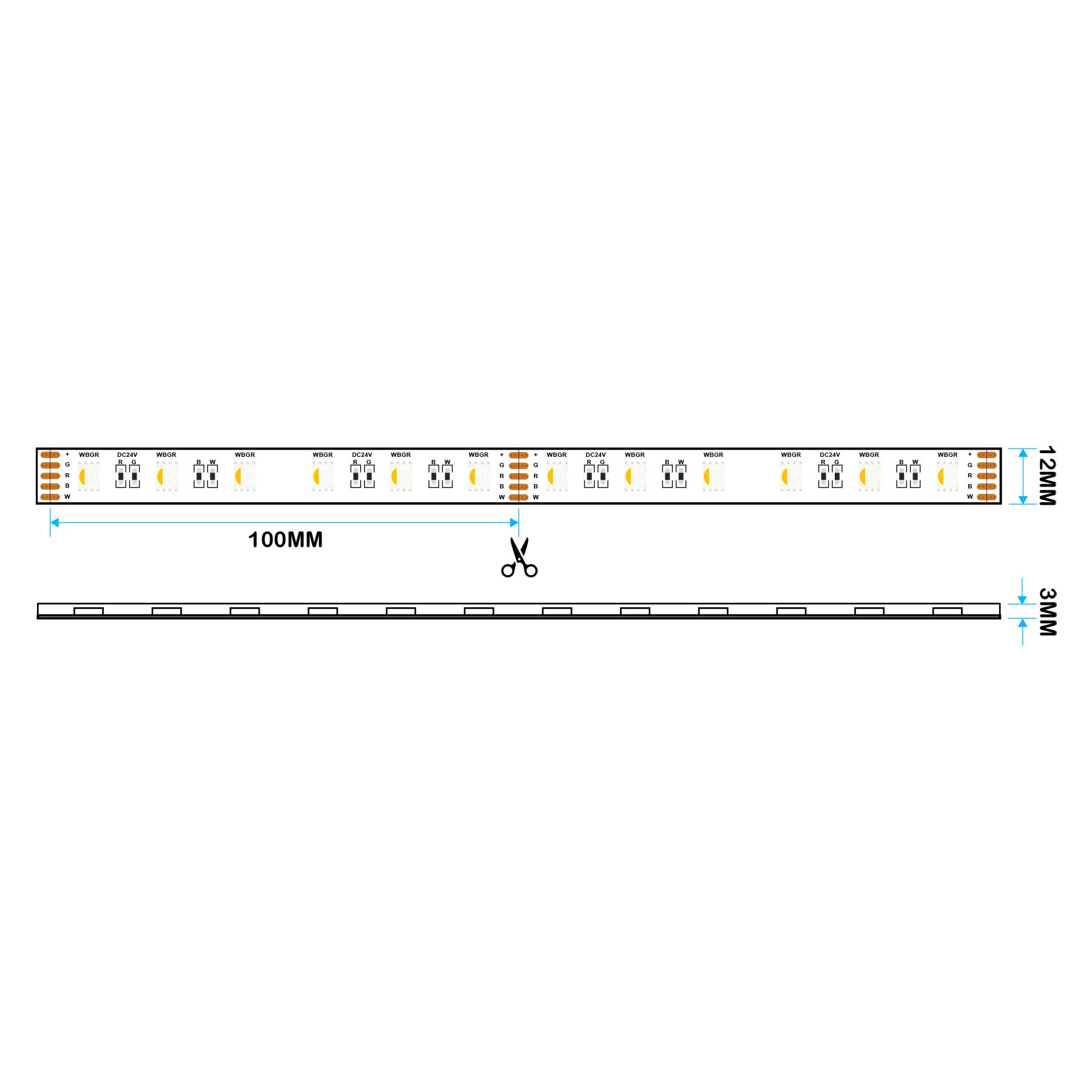 G.W.S LED Wholesale LED Strip Lights LED 5050 Strip Light, 5M Reel, IP44, 24V, 60 LEDs/M, RGB+Warm White