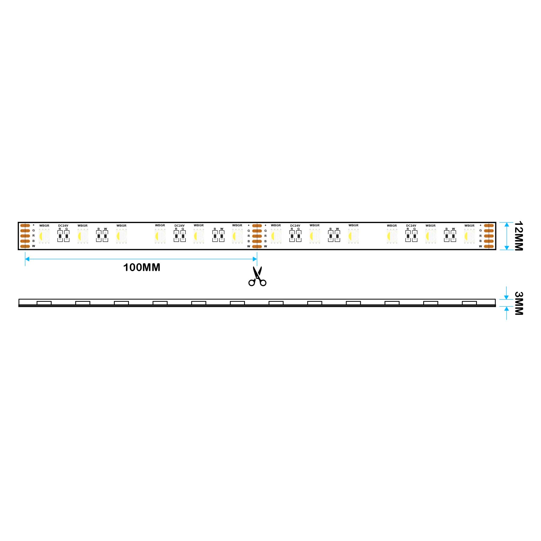 G.W.S LED Wholesale LED Strip Lights LED 5050 Strip Light, 5M Reel, IP44, 24V, 60 LEDs/M, RGB+White