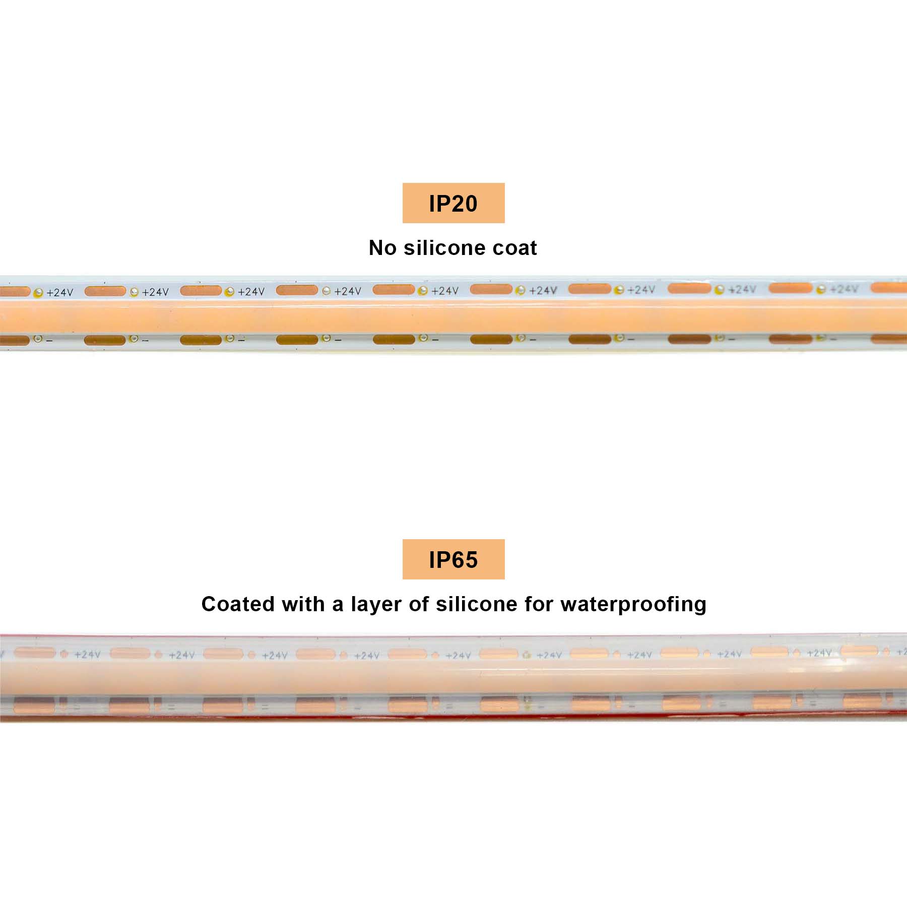 G.W.S LED Wholesale LED Strip Lights LED COB Strip Light, Seamless, 10M Reel, IP20/IP65, 24V, 1cm/Cut