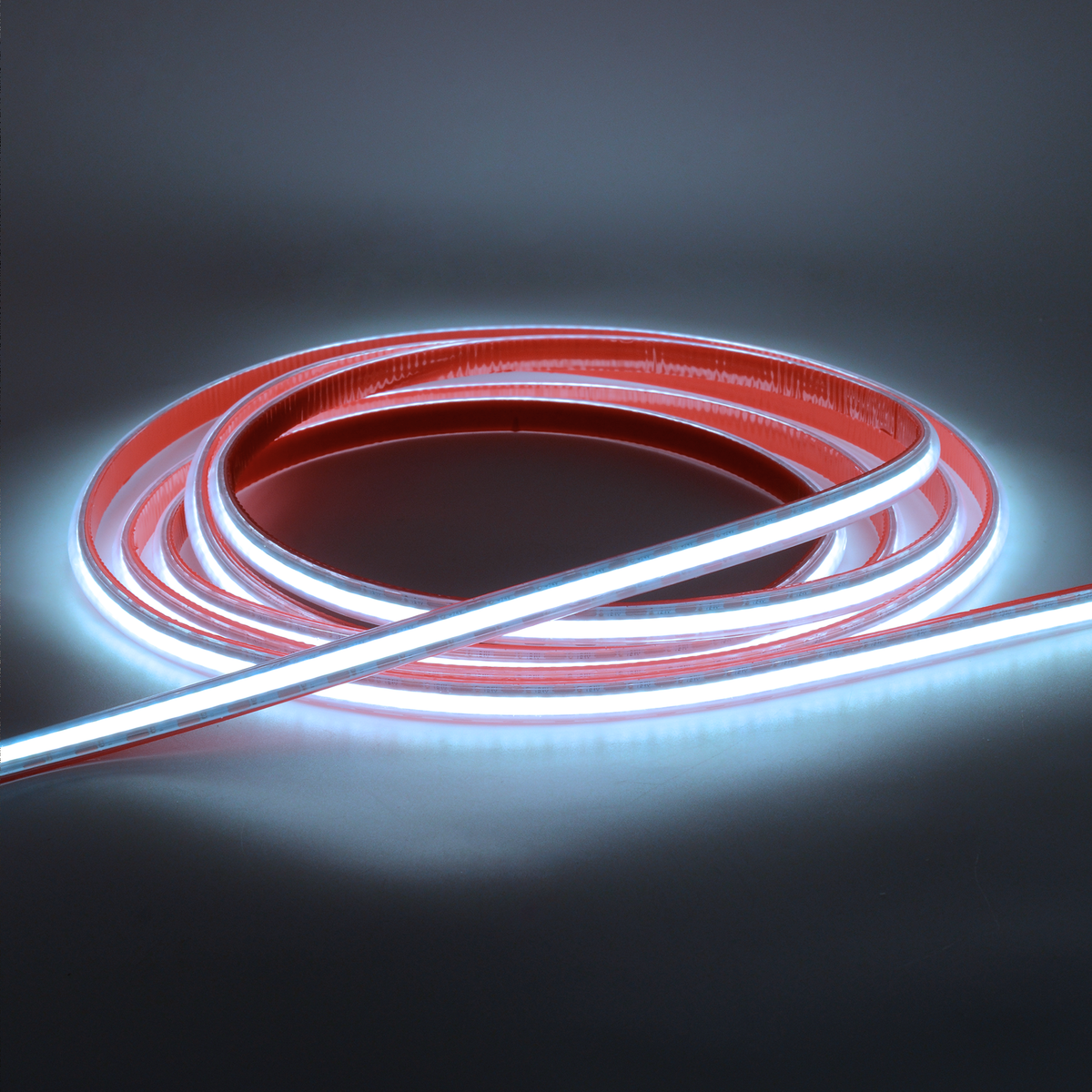 G.W.S LED Wholesale LED Strip Lights LED COB Strip Light, Seamless, 10M Reel, IP20/IP65, 24V, 8mm/10mm Wide