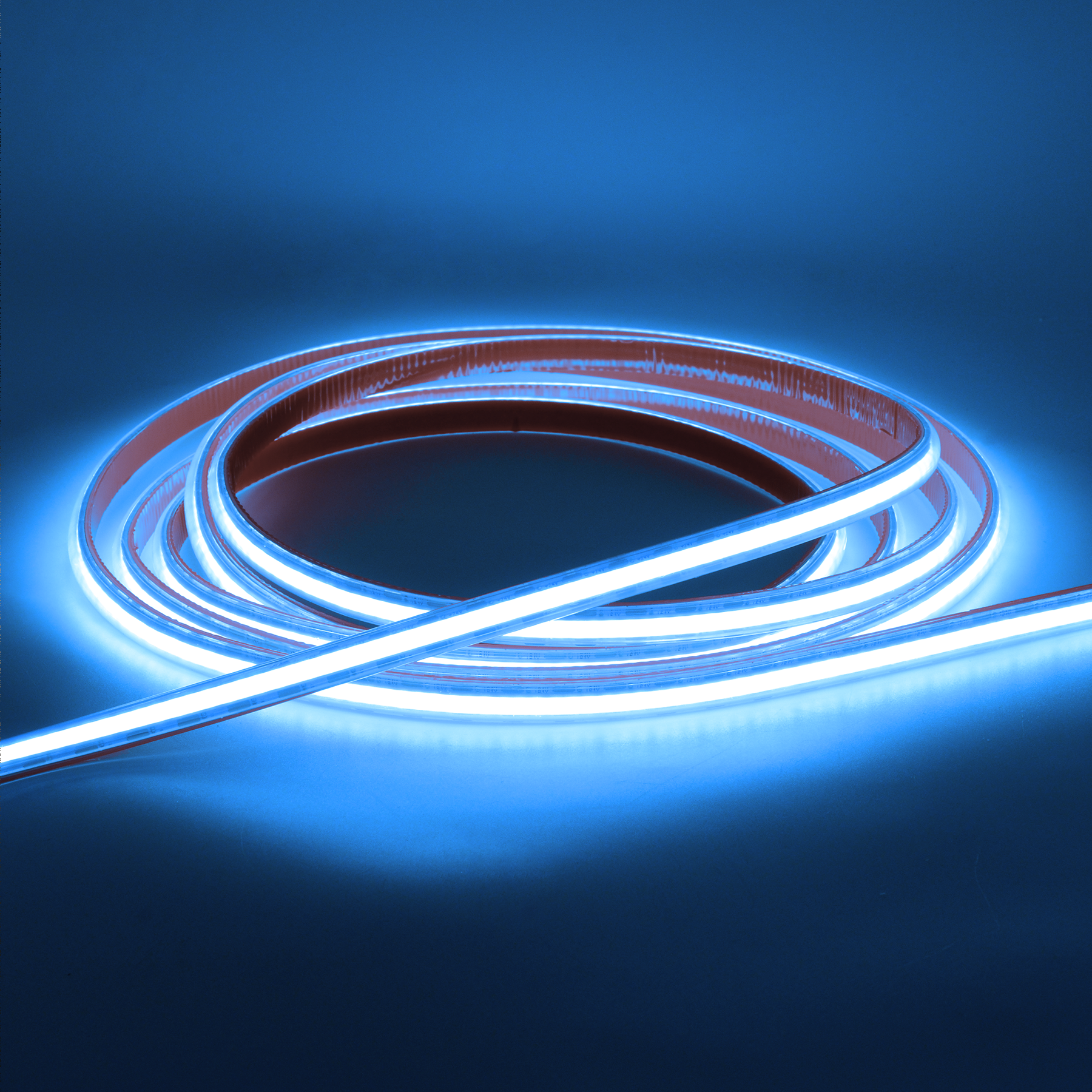 G.W.S LED Wholesale LED Strip Lights LED COB Strip Light, Seamless, 10M Reel, IP20/IP65, 24V, 8mm/10mm Wide
