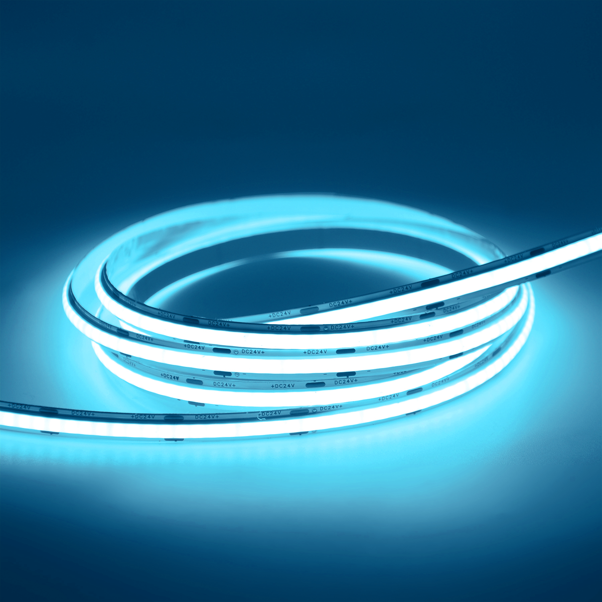 G.W.S LED Wholesale LED Strip Lights LED COB Strip Light, Seamless, 5M Reel, IP20, 24V, 8mm Wide