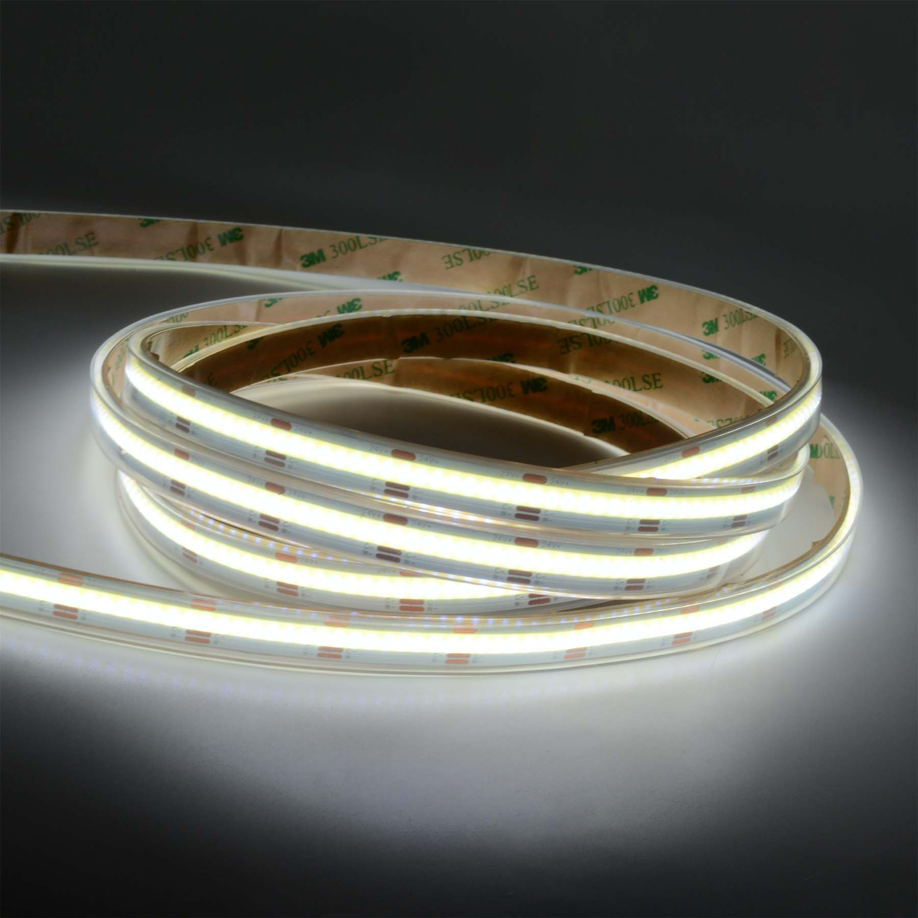 G.W.S LED Wholesale LED Strip Lights LED COB Strip Light, Seamless, 5M Reel, IP20/IP65, 24V, 10mm/12mm Wide, CCT