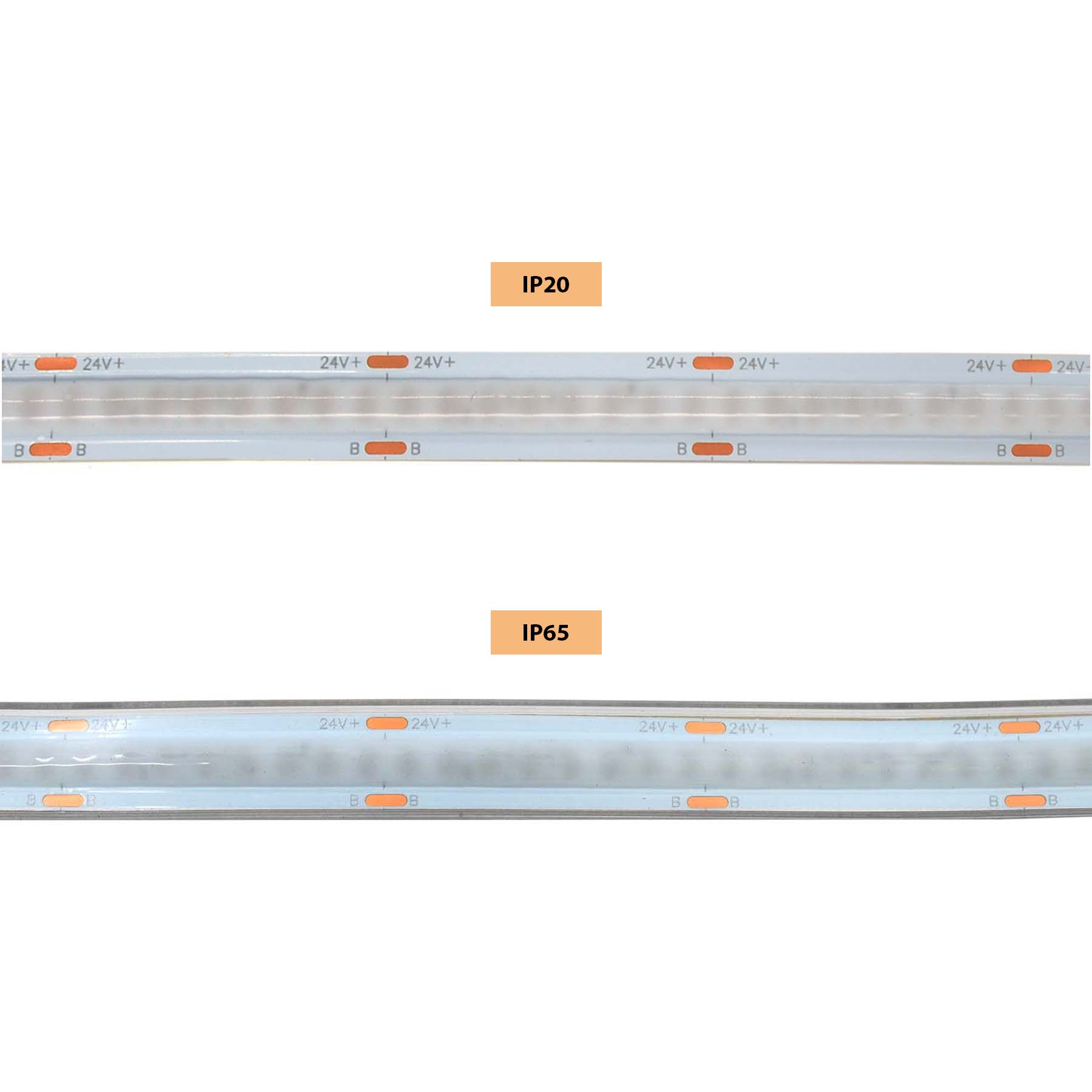 G.W.S LED Wholesale LED Strip Lights LED COB Strip Light, Seamless, 5M Reel, IP20/IP65, 24V, 10mm/12mm Wide, RGB