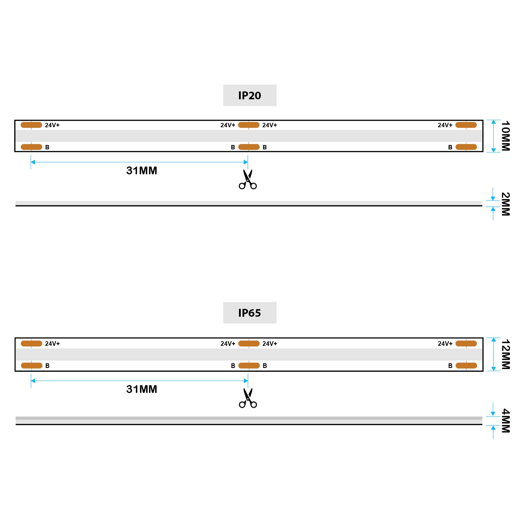 G.W.S LED Wholesale LED Strip Lights LED COB Strip Light, Seamless, 5M Reel, IP20/IP65, 24V, 10mm/12mm Wide, RGB
