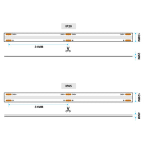 G.W.S LED Wholesale LED Strip Lights LED COB Strip Light, Seamless, 5M Reel, IP20/IP65, 24V, 10mm/12mm Wide, RGB