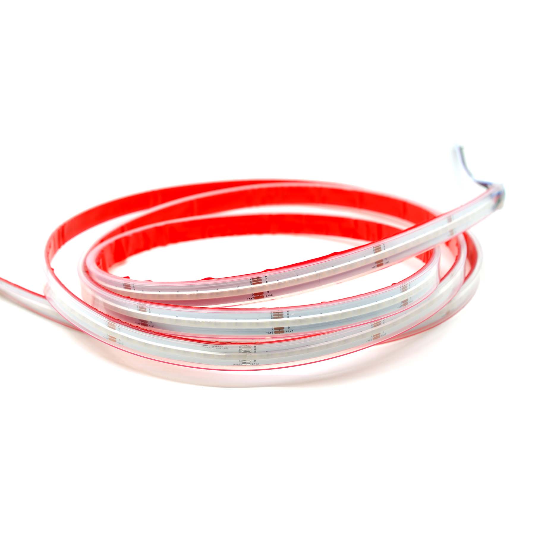 G.W.S LED Wholesale LED Strip Lights LED COB Strip Light, Seamless, 5M Reel, IP20/IP67, 24V, 12mm/14mm Wide, RGB+White