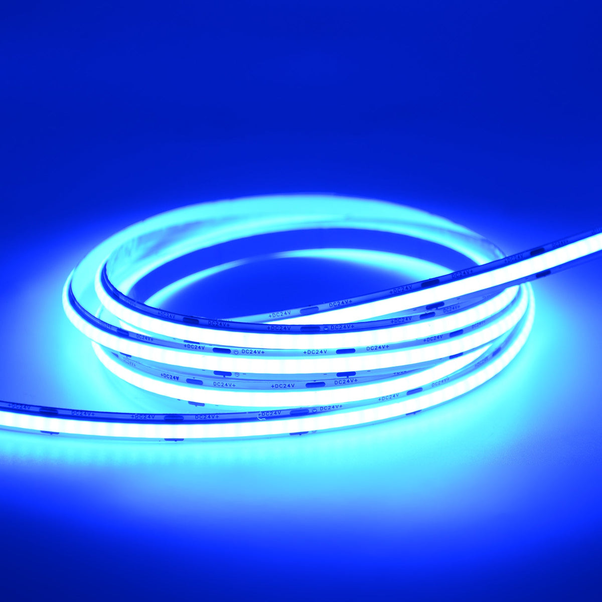 G.W.S LED Wholesale LED Strip Lights Strip Only / 5M / Blue LED COB Strip Light, Seamless, 5M Reel, IP20, 24V, 8mm Wide