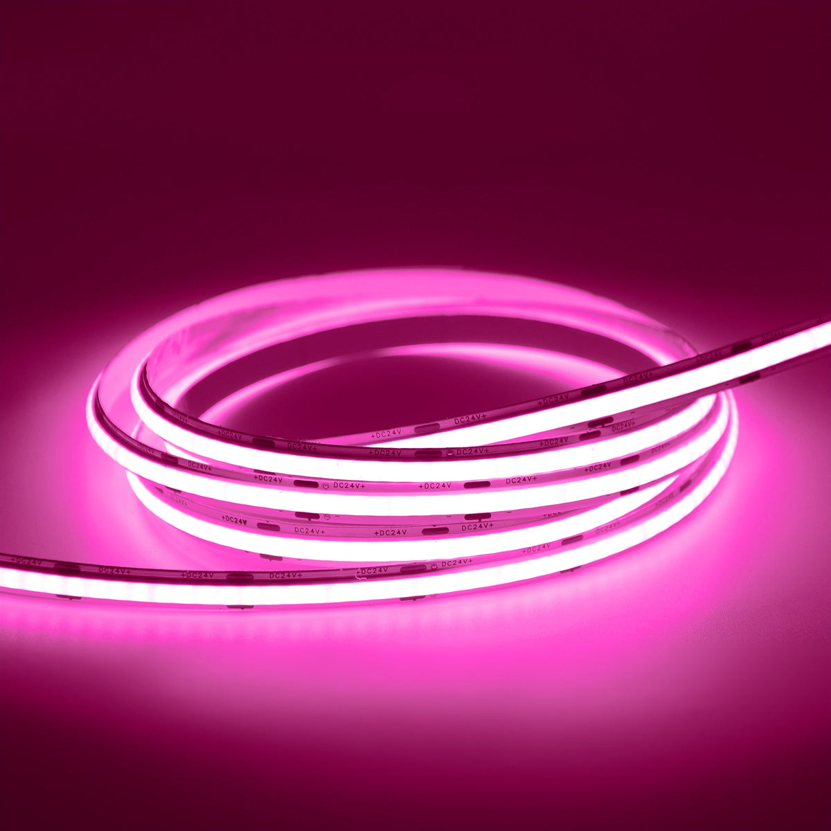 G.W.S LED Wholesale LED Strip Lights Strip Only / 5M / Pink LED COB Strip Light, Seamless, 5M Reel, IP20, 24V, 8mm Wide