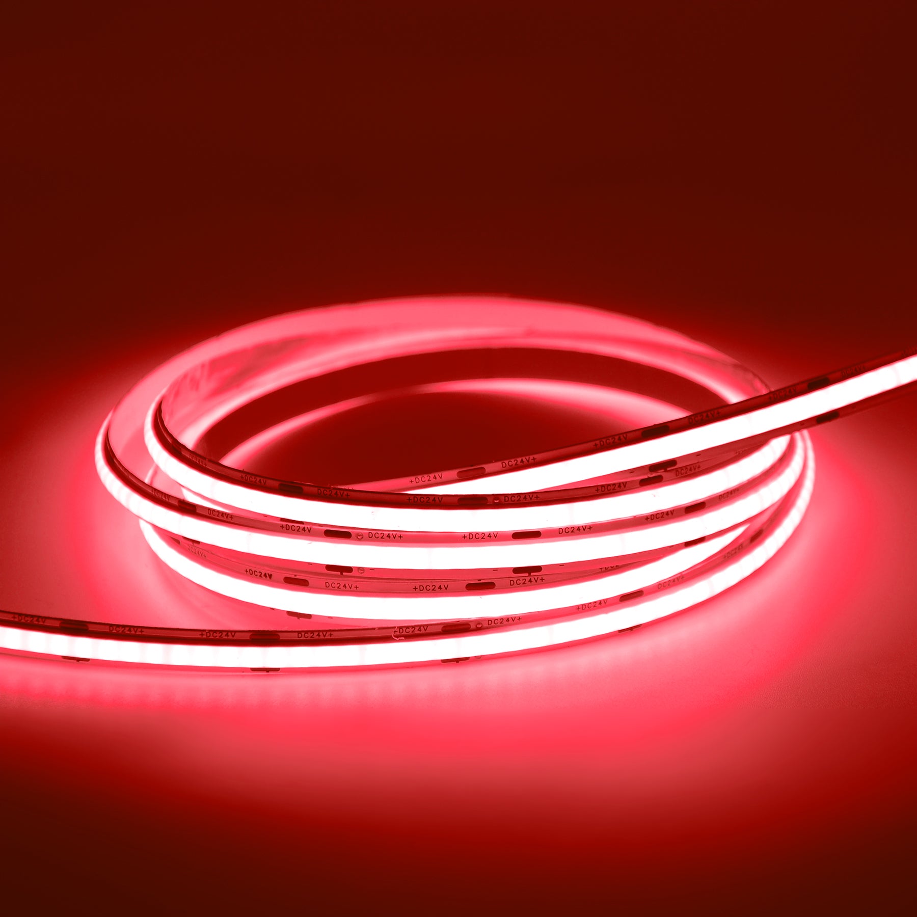 G.W.S LED Wholesale LED Strip Lights Strip Only / 5M / Red LED COB Strip Light, Seamless, 5M Reel, IP20, 24V, 8mm Wide