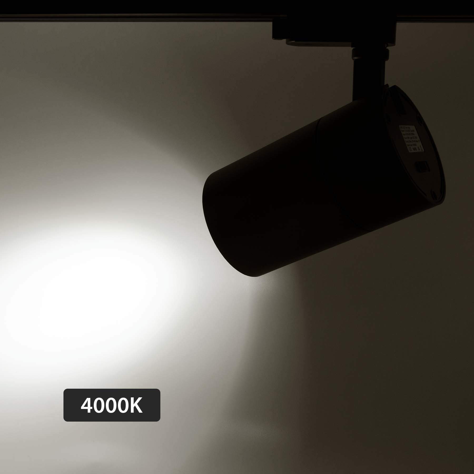 Black Dimmable LED Track Spotlight 3CCT