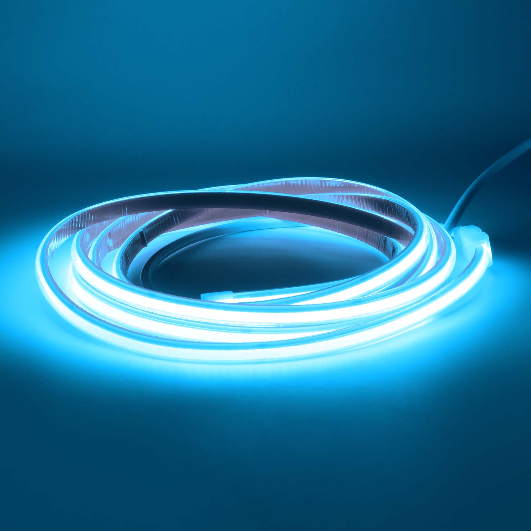 G.W.S LED Wholesale Ltd. LED Strip Lights Ice Blue / 1M AC COB Strip 10CM/Cut (POS)